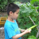 해인어린이집 이미지