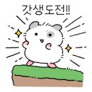 리헬브짐 이미지