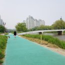 백현다리길 이미지