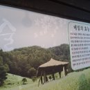 신봉평막국수 이미지