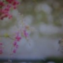 제창농장 이미지