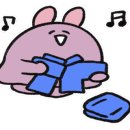 주짓수스웨그