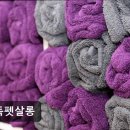 다독펫살롱 네이버블로그