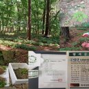 강림면351 이미지