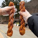 꽈배기상회 | 진안 마이산 등산코스 추천 초보코스 + 마이산상회 생활의달인 꽈배기