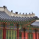 오미자권역센터 | 세계문화유산 창덕궁(3), 전각(인정전, 선정전, 희정당), 매표소 창덕궁 카페 사랑