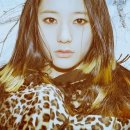 디자인그룹미