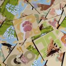 이개 누구개 이미지