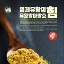 유황커피