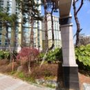 꼬마대통령어린이집 - 광주시 | 꼬마대통령어린이집