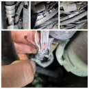 동명모터스 이미지