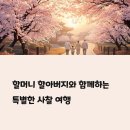쌍용사 | 할머니 할아버지와 함께하는 사찰 여행, 힐링과 추억을 담은 특별한 여정