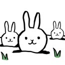 제주고메밀면