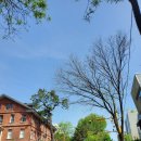 대한기술.일반행정사사무소 이미지