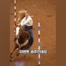 코미타투스 이미지