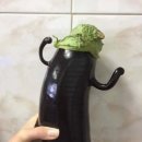 스타벅스 방배카페거리 이미지