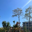 장말어린이공원 이미지