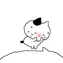 스텔라 달 마레 이미지