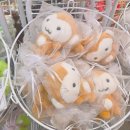 ㈜라운드식스스튜디오 | [250725] 좋아하는 게 많다는 건 행복해질 방법이 많다는 것! _ 서일페 / 판타스틱4 / 데이식스 팬미팅