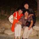 (주)녹채원 Daum카페