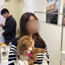 몽크네 이발관 | [포항] 몽크네이발관 ㅣ 강아지미용 반려견미용 N번째 후기