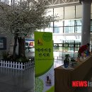 김천구미(KTX)역 광장 이미지