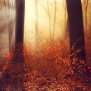 신현대한의원 이미지