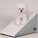 핑크 펫 하우스 이미지