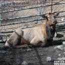 신리농장 이미지