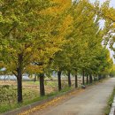 화랑공원 이미지