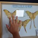 우포늪 생태체험장 화장실 | 창녕우포곤충나라 창녕 아이랑 가볼만한 곳 우포늪 바로 옆 곤충전시관