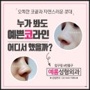 코재수술유명한병원 추천 예롬성형외과