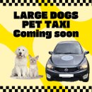 제천 펫택시 이미지