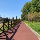 논현포대근린공원(유수지) 이미지