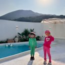 제나스테이 이미지