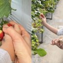 채림농장 이미지