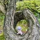 곤지암로 | 화담숲 예약하고 최애 인형과 함께 스템프 투어 다녀온 후기