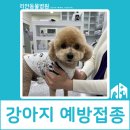 리안 동물병원 이미지
