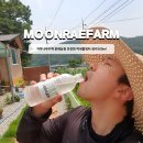 참빛자연농원민박 | 자작나무수액 문래농원 안전한 미네랄워터 생수500ml