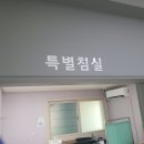 대구방역업체 청춘클린에서 개미 퇴치