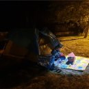 장삼포민박 이미지