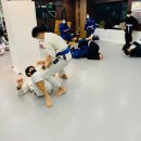 주짓수·복싱 이미지