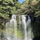 천제연폭포 이미지