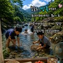 제가 만든 이미지 갖다써요(2) 이미지