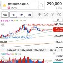 한화인더스트리얼솔루션즈 | 한화에어로스페이스 인적분할 거래정지로 본 주식 용어 정리