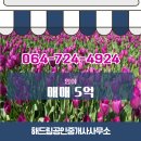 해드림부동산공인중개사사무소 이미지