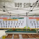 힐링마켓