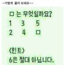 넌센스 Daum카페