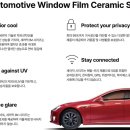 CM게러지 | 테슬라 뉴 모델Y 주니퍼 틴팅하기