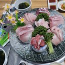 BS수산 | [금천구 횟집] 대방어 맛집 BS수산 내돈내산 후기